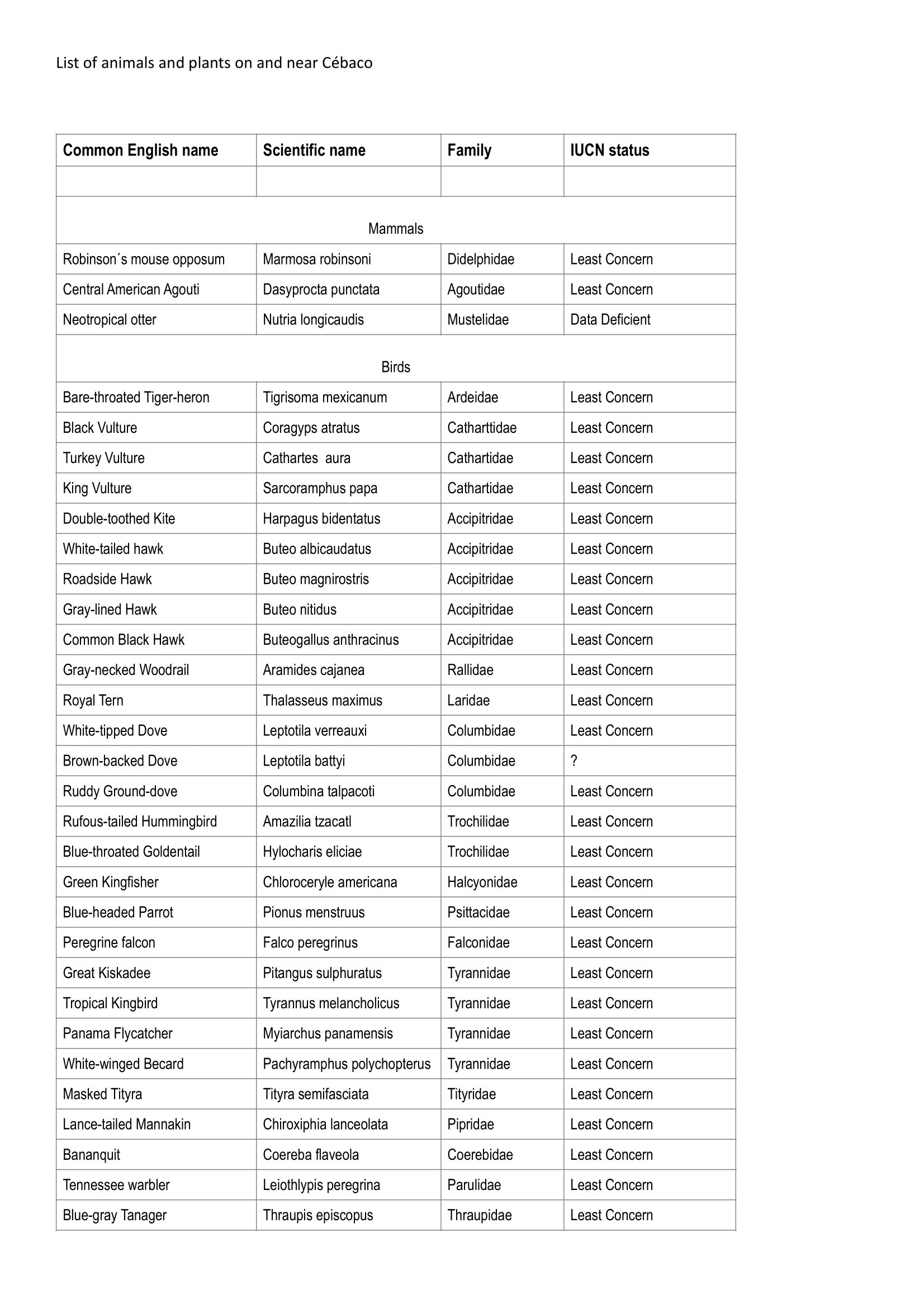 real estate investment